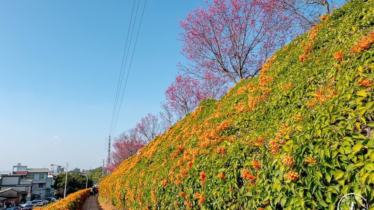 公園是位在119縣道旁的堤防段，靠近銅鑼工業區。（圖片來源：桃桃‘s旅人手札）