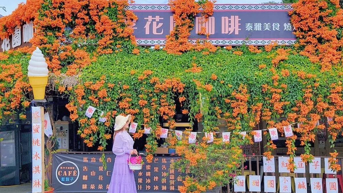炮仗花盛開的畫面，不論什麼角度拍都好美。（圖片來源：IG@yijiun_lee）