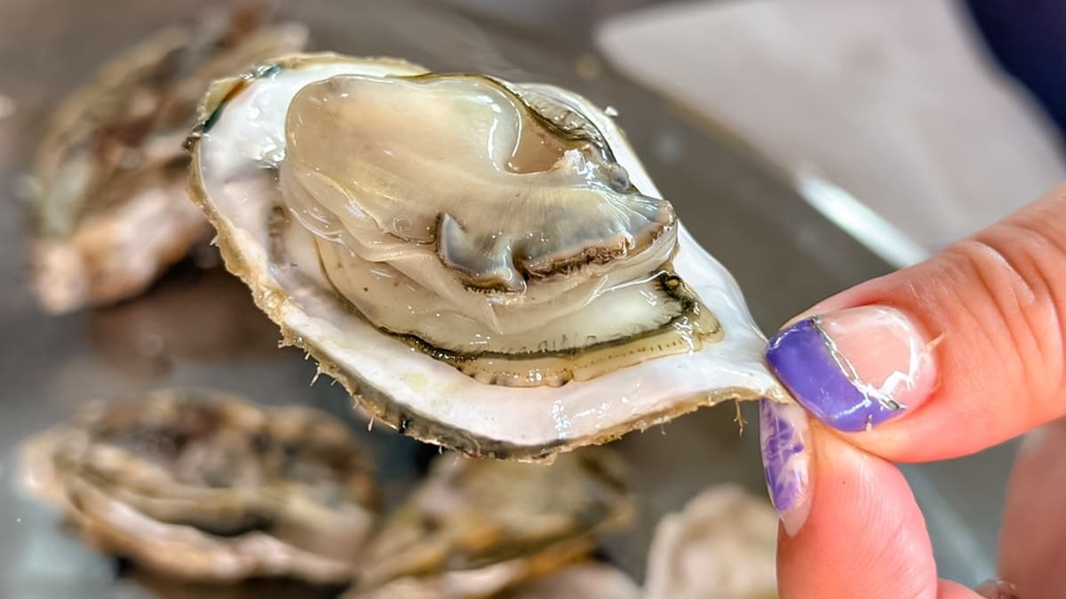 蚵仔個個都很新鮮肥美。（圖片來源：靜兒貪吃遊玩愛分享）
