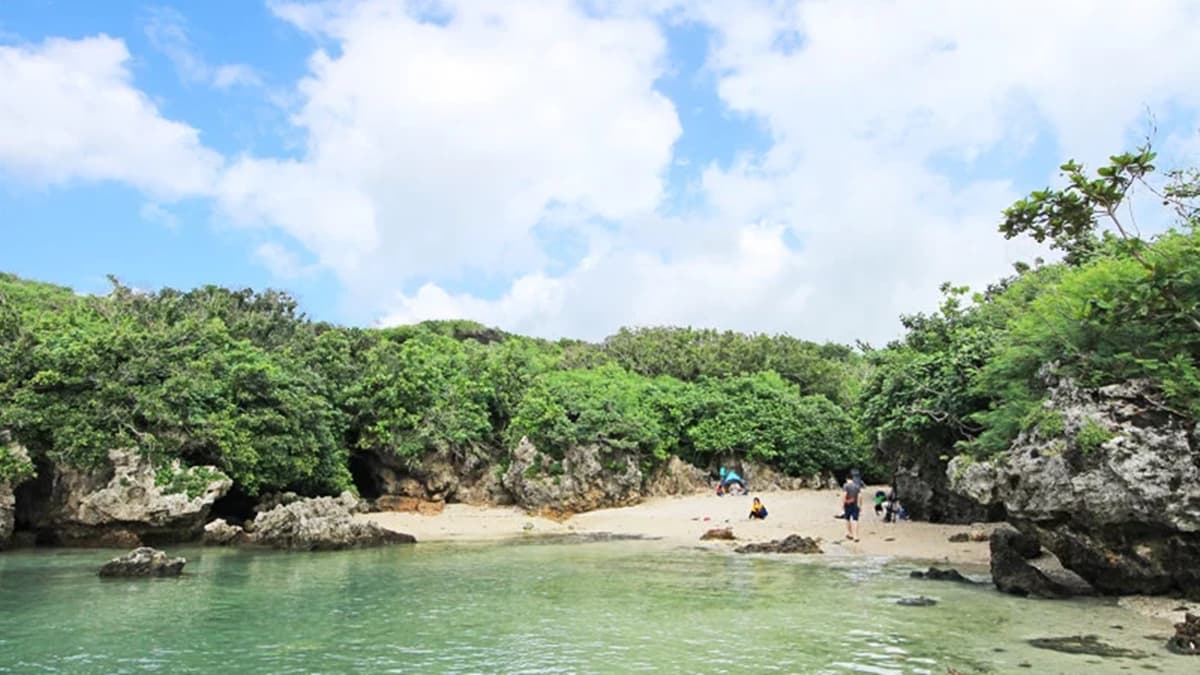 需要穿過一小段叢林，才能看見這奇石林立的天然美景。（圖片來源：Dribs & Drabs）
