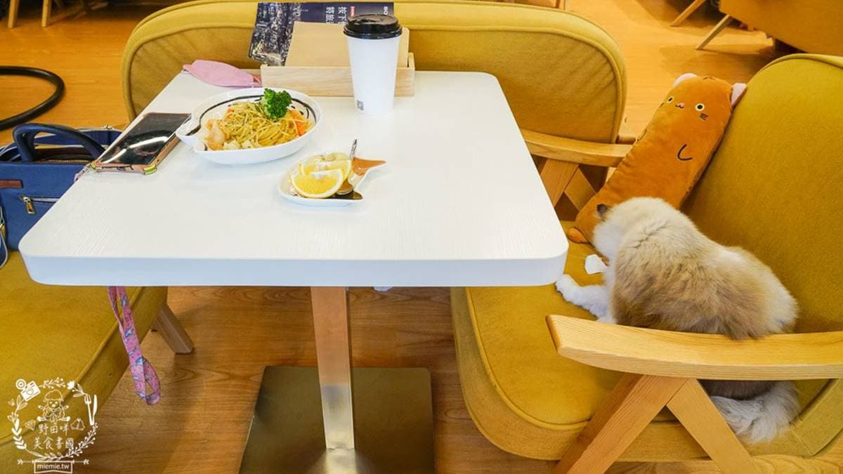 幸運的話還有機會和貓咪同桌吃飯。（圖片來源：野田咩的美食書國）