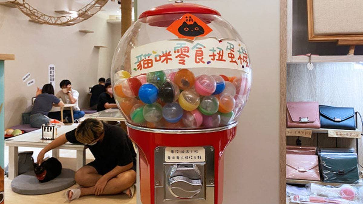 超酷的貓咪零食扭蛋機，投幣10元可以扭１顆零食。（圖片來源：卡蘿旅遊生活札記）
