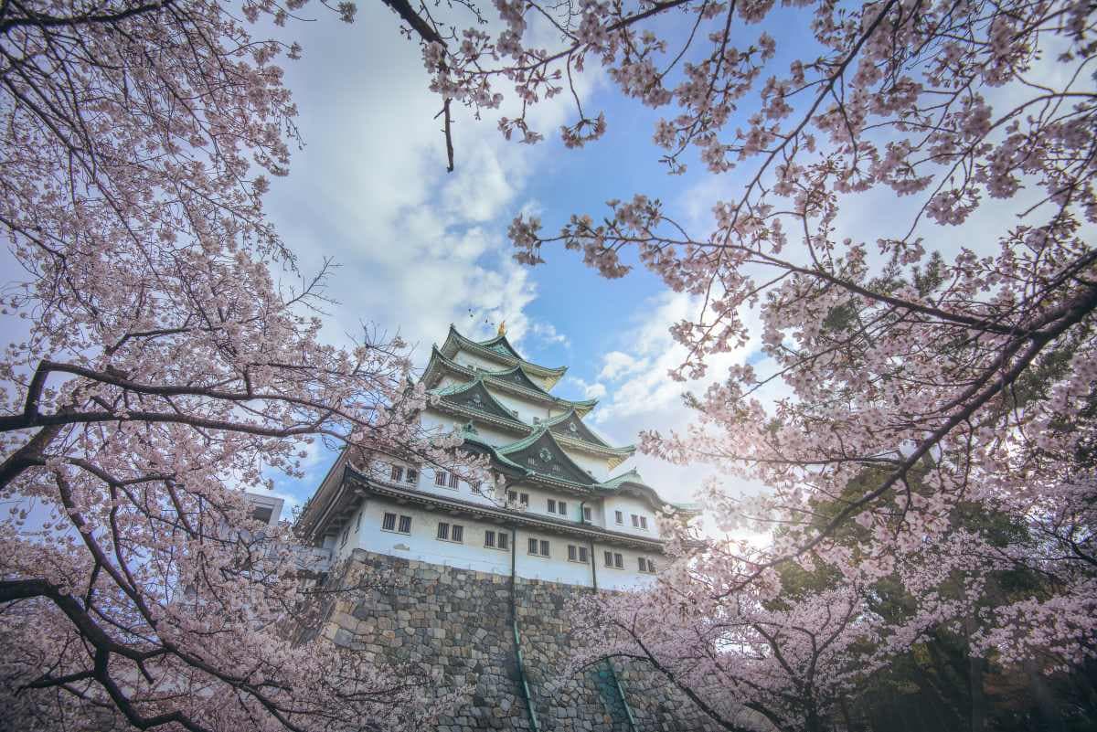 飛日本最低2000元有找！虎航優惠「只有２天」快搶，超甜價直飛４大夯點