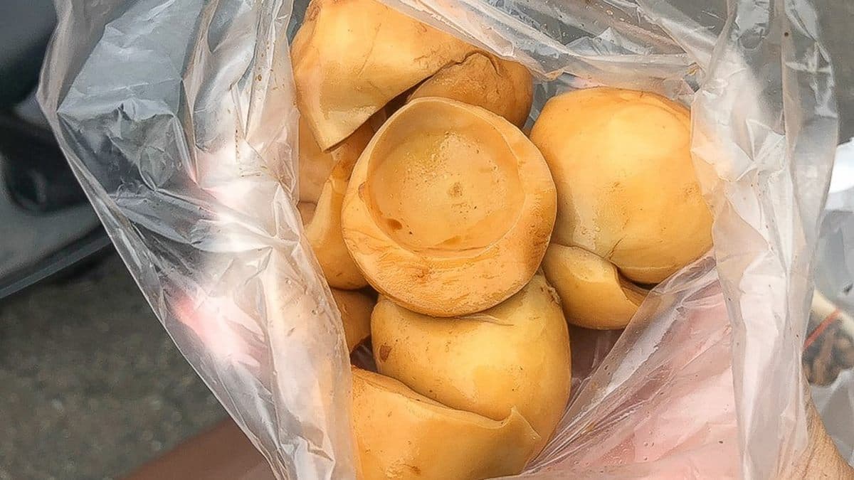 不喜歡吃蛋黃，可以買滷蛋白１包50元。（圖片來源：跟著尼力吃喝玩樂）
