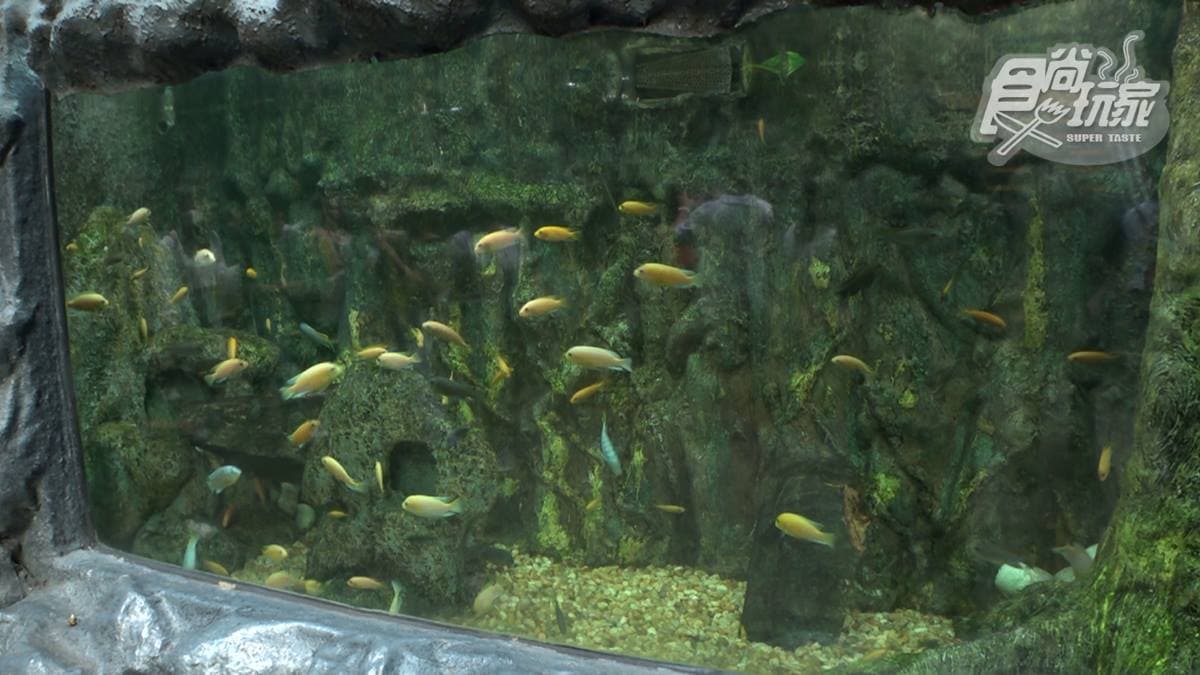 「馬尼拉海洋公園」是來菲律賓必訪的景點之一。
