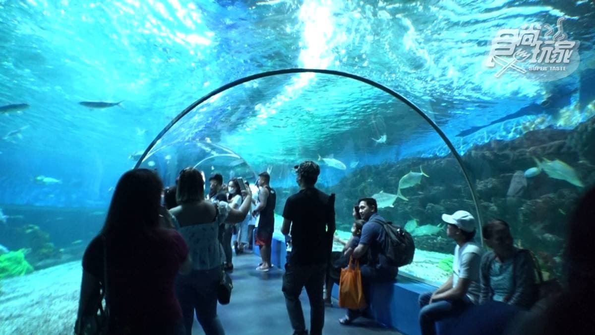 走進海洋隧道可以享受被魚群包圍的感覺。