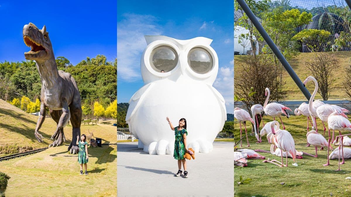 瘋玩台版「侏儸紀公園」！占地６萬坪「亞洲最大」，必拍巨大恐龍、白貓頭鷹