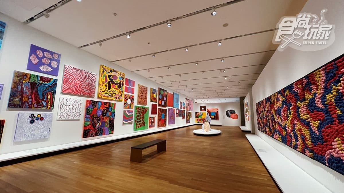 館藏包含20～21世紀視覺藝術、設計和建築、流動影像以及香港視覺文化等主要類別。