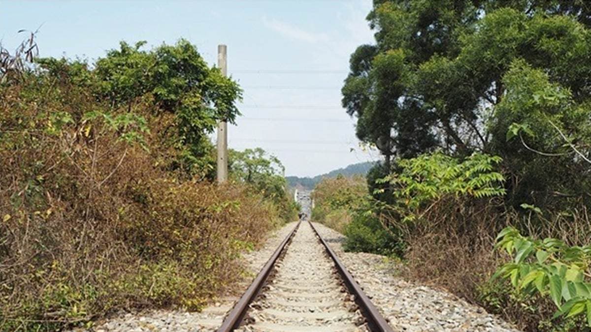 通往舊山線大安溪鐵橋也可以從泰安鐵道文化園區。（圖片來源：Panda’s Paradise）