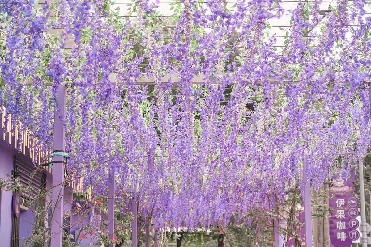 IG美照刷起來!苗栗7處美拍夯點:百年花樑鋼橋、森林湧泉步道、歐風古堡 IG美照刷起來!苗栗7處美拍夯點:百年花樑鋼橋、森林湧泉步道、歐風古堡