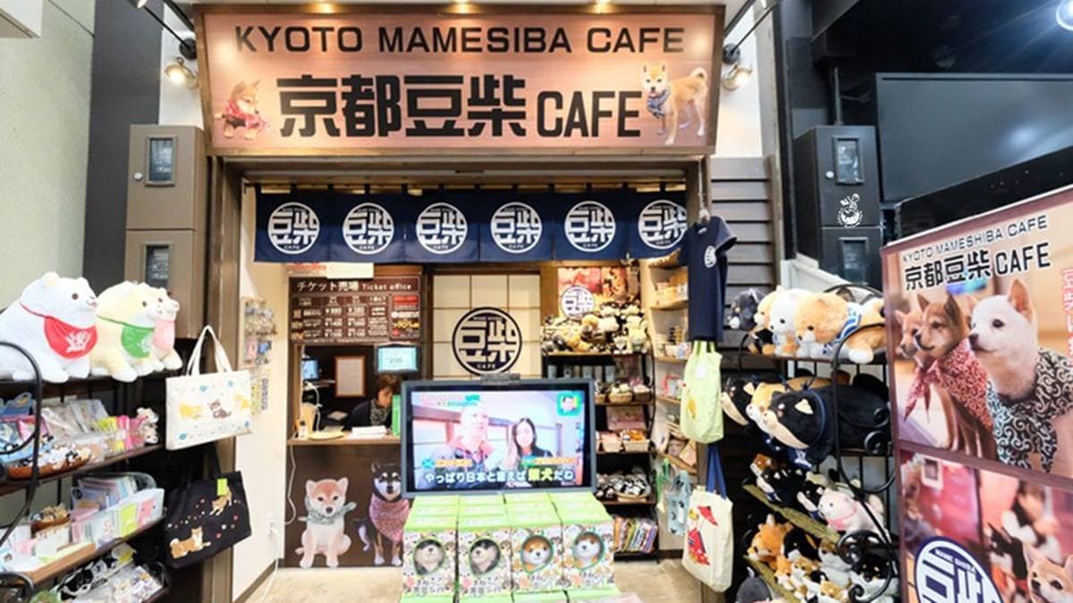 「京都豆柴咖啡」位在錦市場附近。（圖片來源：金大佛的奪門而出家日誌）