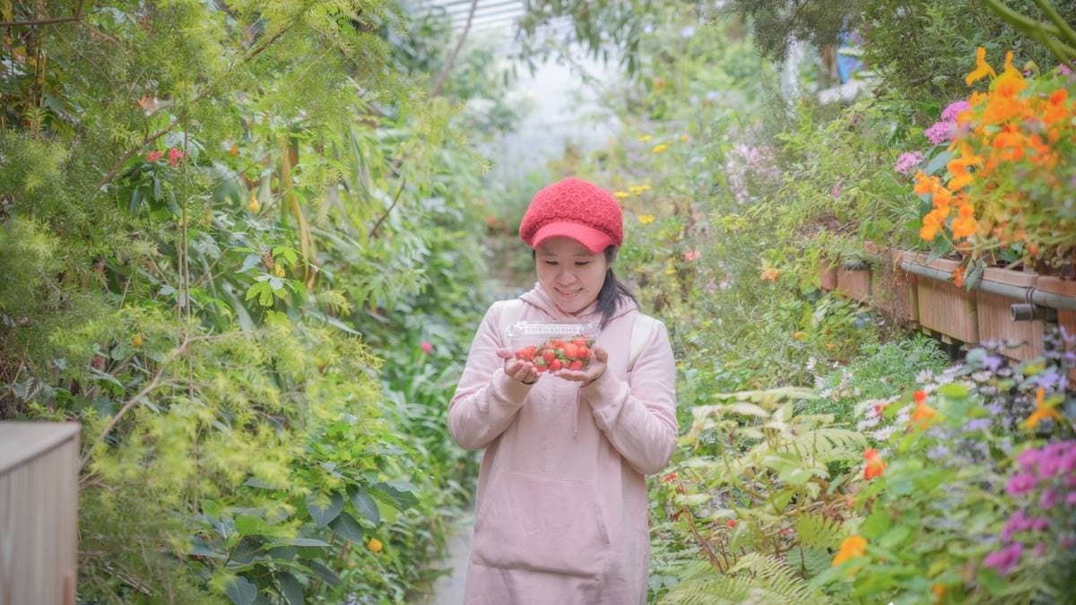 採完草莓還能到旁邊美美的綠色隧道拍照。（圖片來源：卡夫卡愛旅行）