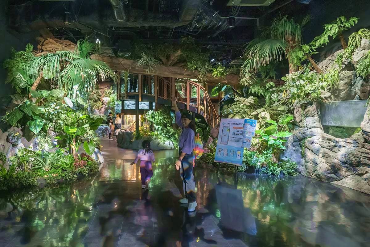 沖繩水族館再＋1！「巨型水族箱」宛如置身海底，近距離看樹懶、摸小鯊魚