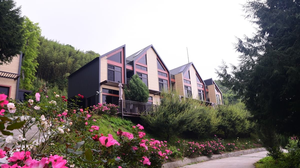 可以選擇自行搭帳蓬露營，或是住小木屋。（圖片來源：強尼帶球）