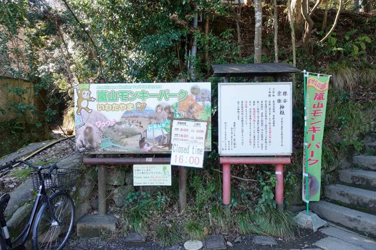 去嵐山還在搭小火車？必去「山頂猴園」搶拍零死角美景，野生萌猴坐檯超Chill