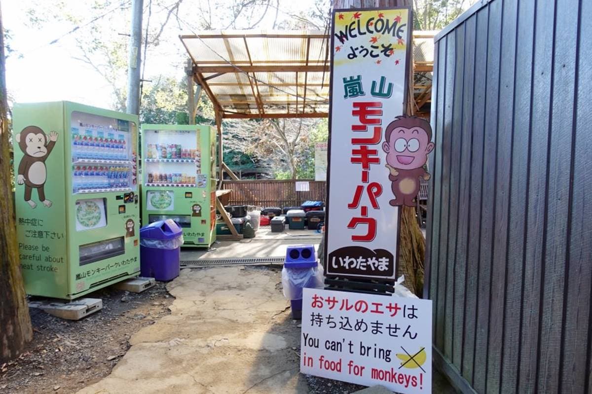 去嵐山還在搭小火車？必去「山頂猴園」搶拍零死角美景，野生萌猴坐檯超Chill