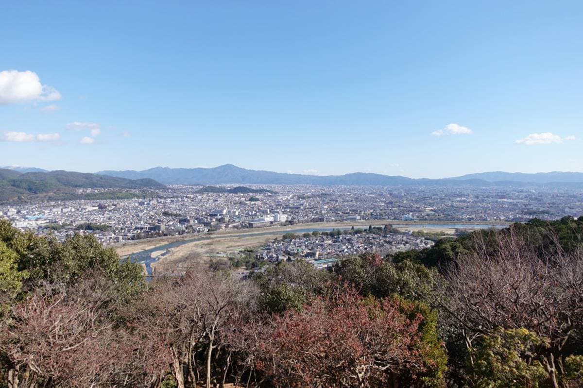 去嵐山還在搭小火車？必去「山頂猴園」搶拍零死角美景，野生萌猴坐檯超Chill