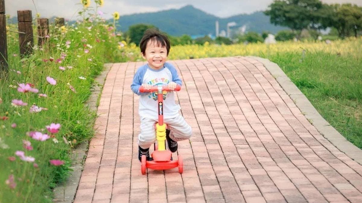花海的週邊有設置磁磚道路，可以在這裡漫步。（圖片來源：愛伯特吃喝玩樂全記錄）