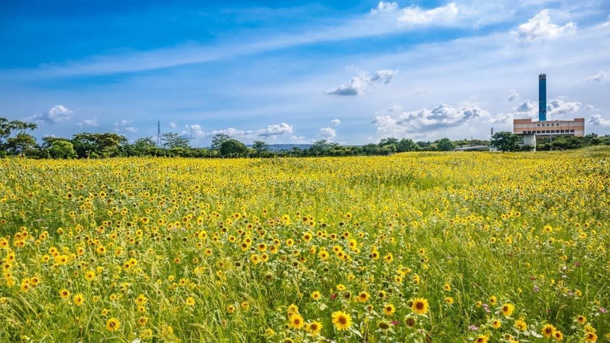 「后里環保公園」每年都會種植許多花卉，轉型成為生態公園。（圖片來源：愛伯特吃喝玩樂全記錄）