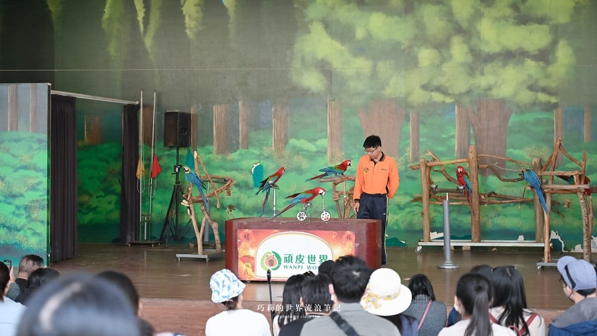在「動物知識小學堂」可以認識金剛鸚鵡與犀鳥。（圖片來源：巧莉的世界流浪筆記）