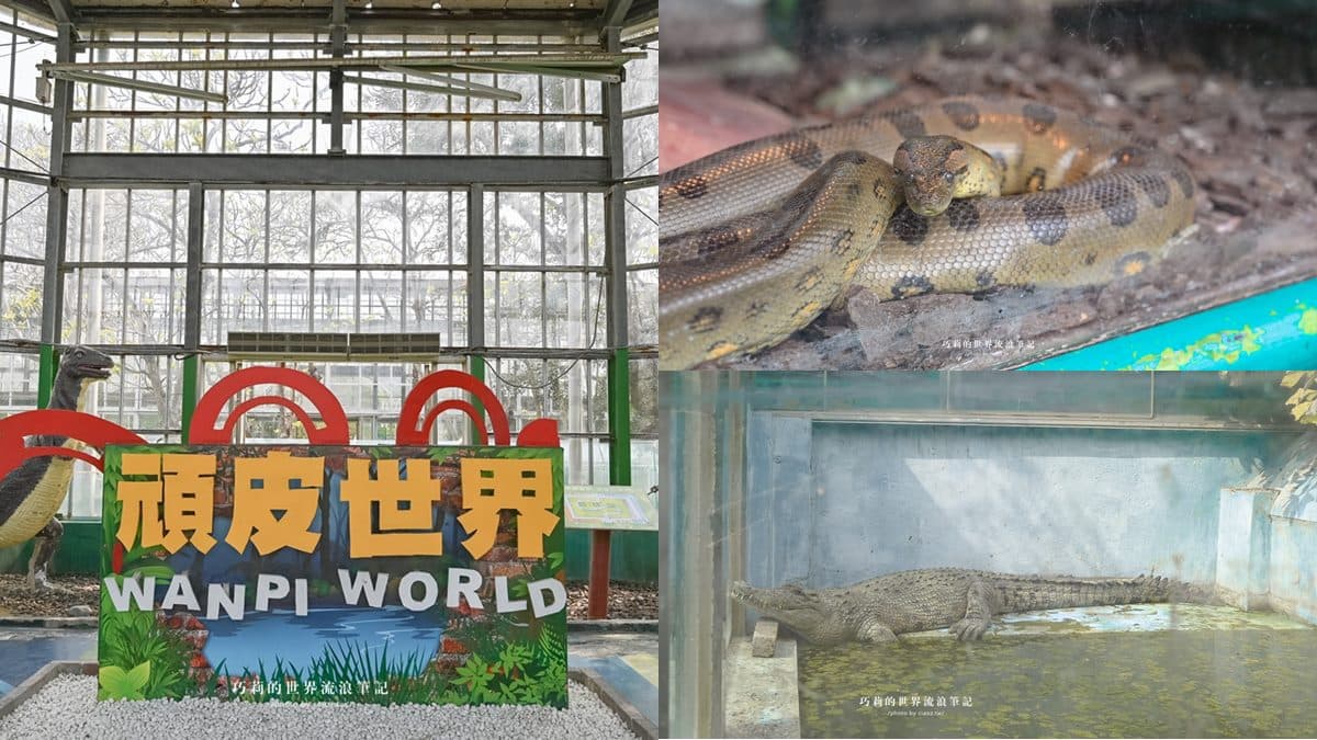 連假５折起玩「南台灣最大動物園」！零距離餵水豚、新遊樂設施，遛小孩快衝