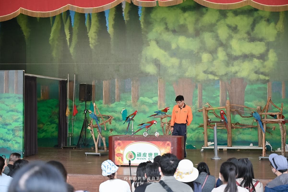 連假５折起玩「南台灣最大動物園」！零距離餵水豚、新遊樂設施，遛小孩快衝