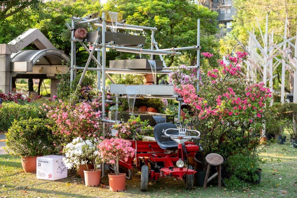 萬金杜鵑花展,24日移展大安森林公園!雙北聯手行銷杜鵑 萬金杜鵑花展,24日移展大安森林公園!雙北聯手行銷杜鵑