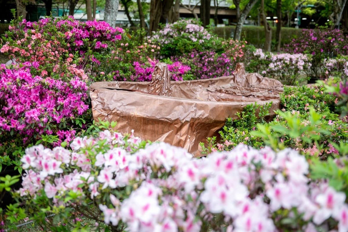萬金杜鵑花展,24日移展大安森林公園!雙北聯手行銷杜鵑 萬金杜鵑花展,24日移展大安森林公園!雙北聯手行銷杜鵑