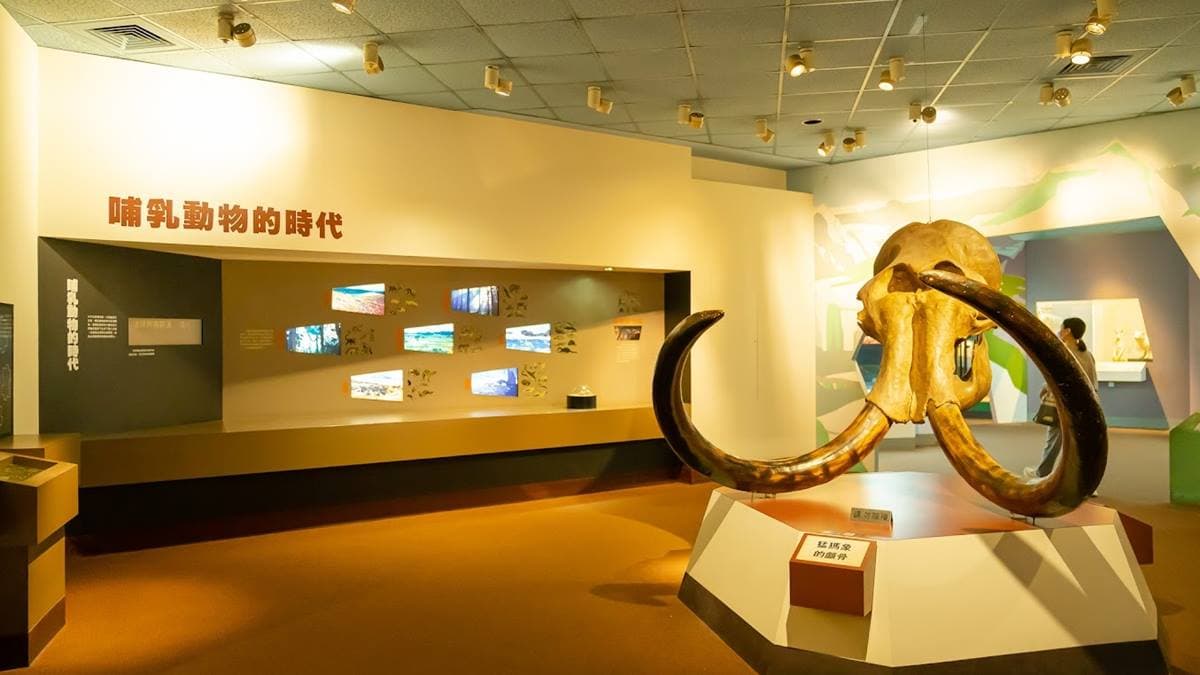 「生命科學廳」是館內人氣最旺的的展館。（圖片來源：Ann媽&RT爸的旅行生活日誌）