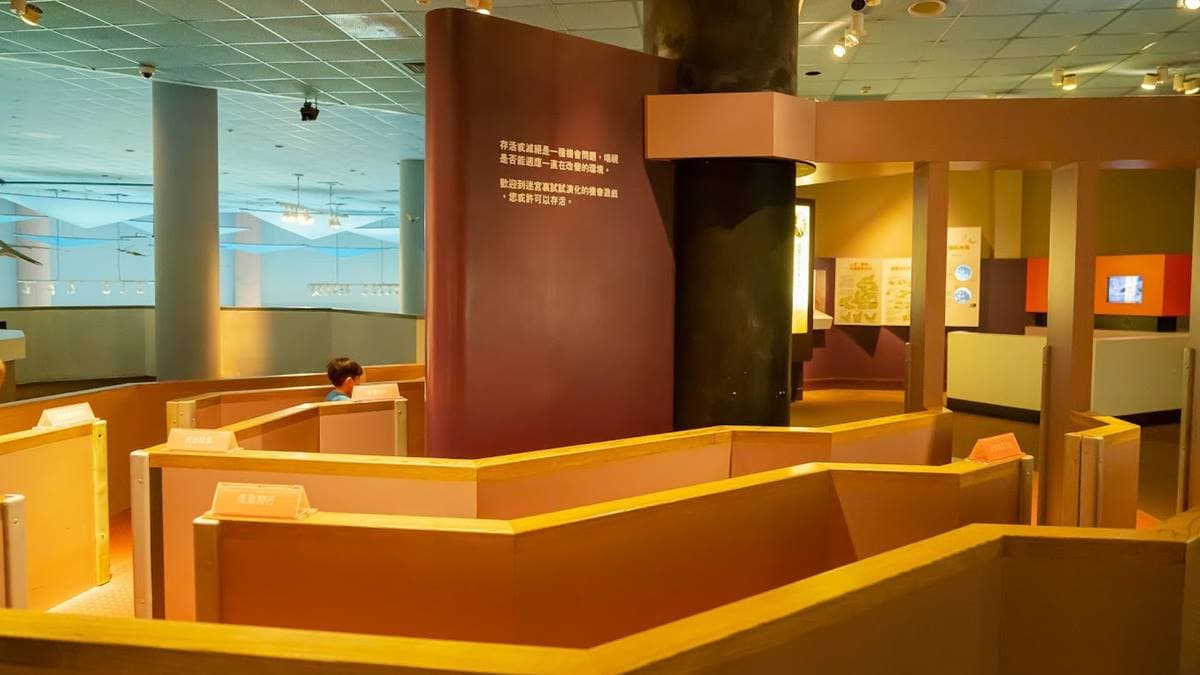 恐龍時代結束後上到２樓有個小迷宮，相當受到孩子們的喜愛。（圖片來源：Ann媽&RT爸的旅行生活日誌）