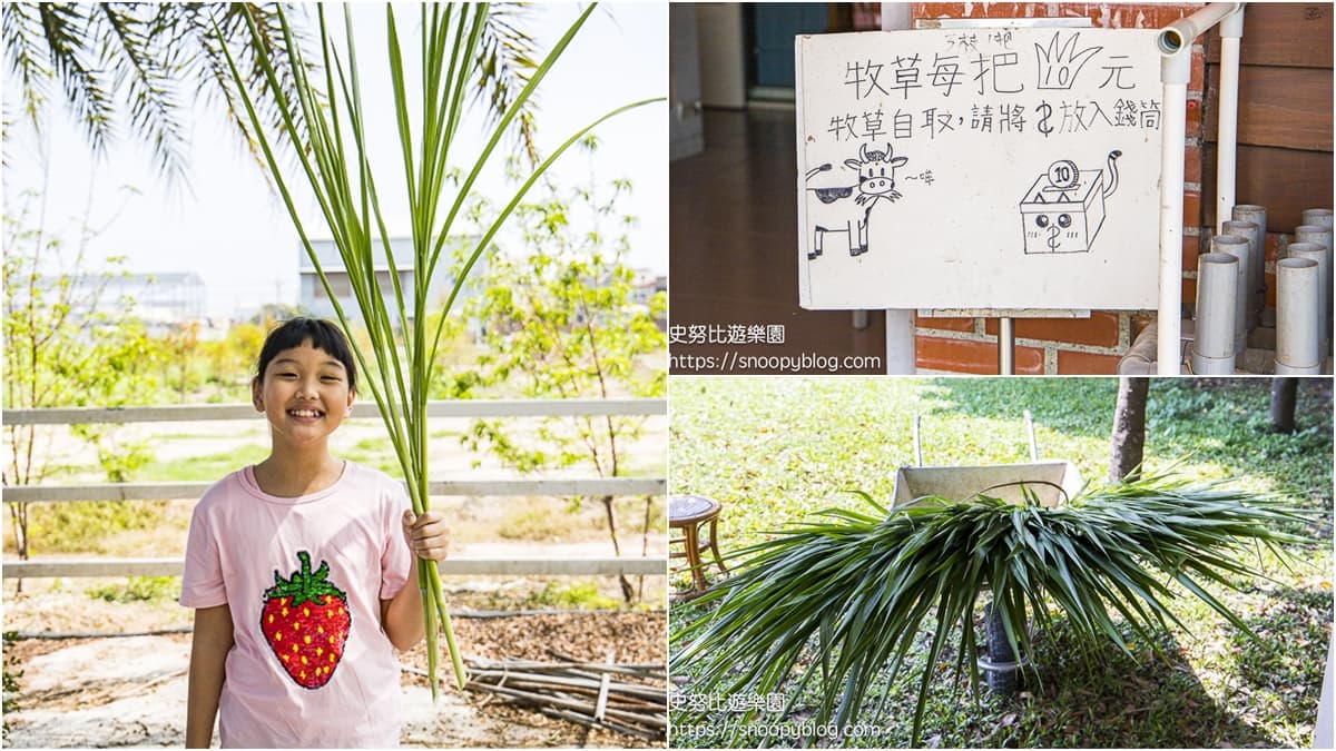 小資爸媽抓小孩放電!彰化「免門票牧場」餵牛吃草僅10元,爽玩鞦韆、溜滑梯 小資爸媽抓小孩放電!彰化「免門票牧場」餵牛吃草僅10元,爽玩鞦韆、溜滑梯