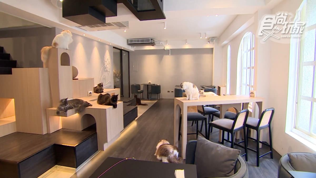 店內１樓為寵物美容，２～４樓則是貓咪咖啡廳。