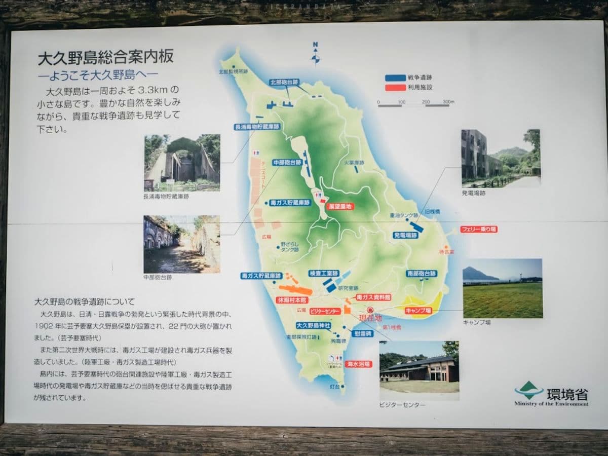 日本動物系景點!超人氣6處必去:全球唯一狐狸村、千隻兔兔圍繞神祕島 日本動物系景點!超人氣6處必去:全球唯一狐狸村、千隻兔兔圍繞神祕島
