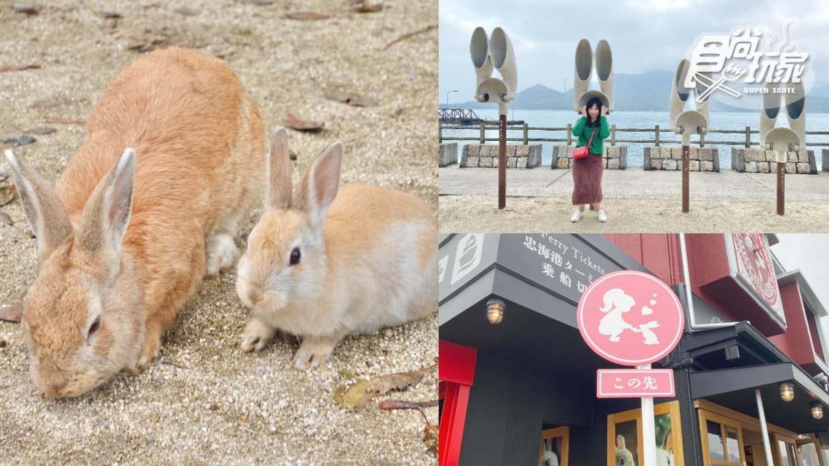 女子旅首選！超Q「兔子島」兔兔餵食TIPS、兔耳打卡點、童話風紀念品店