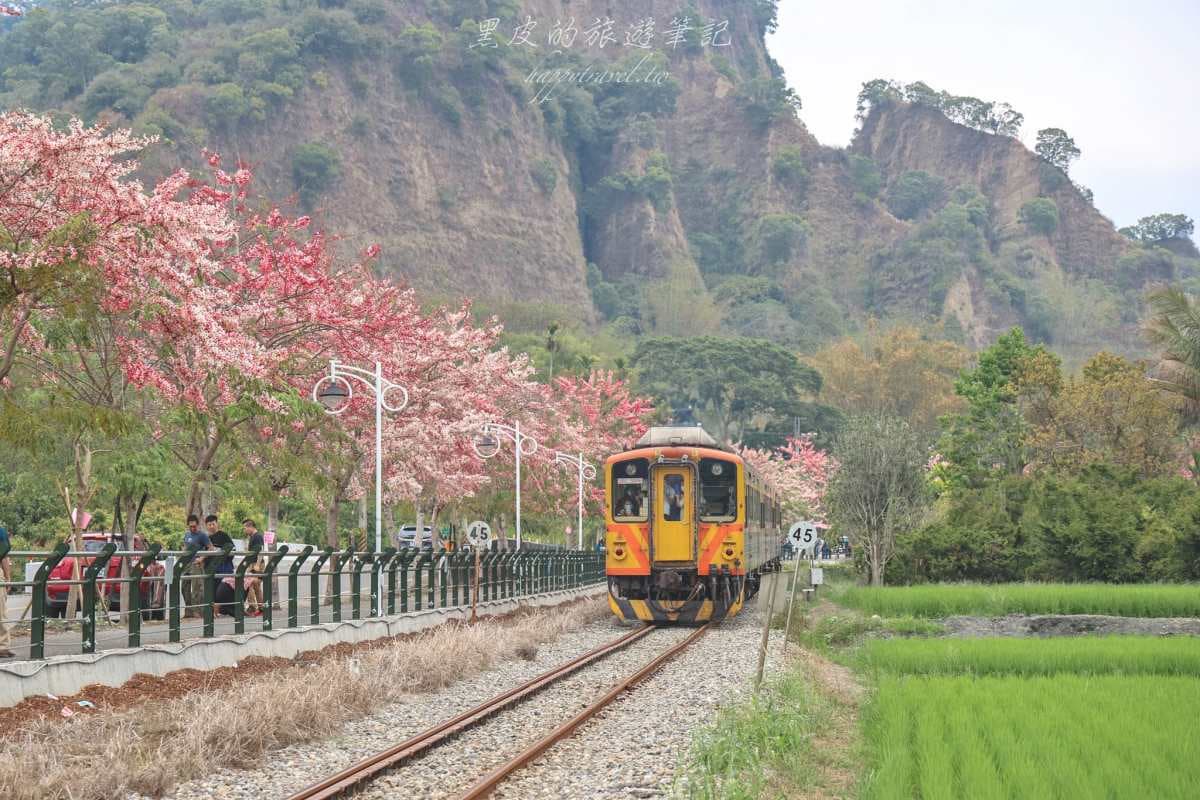 粉紅花海炸開！中南部７大「花旗木祕境」：彰化最美鐵道、1200棵粉嫩山谷