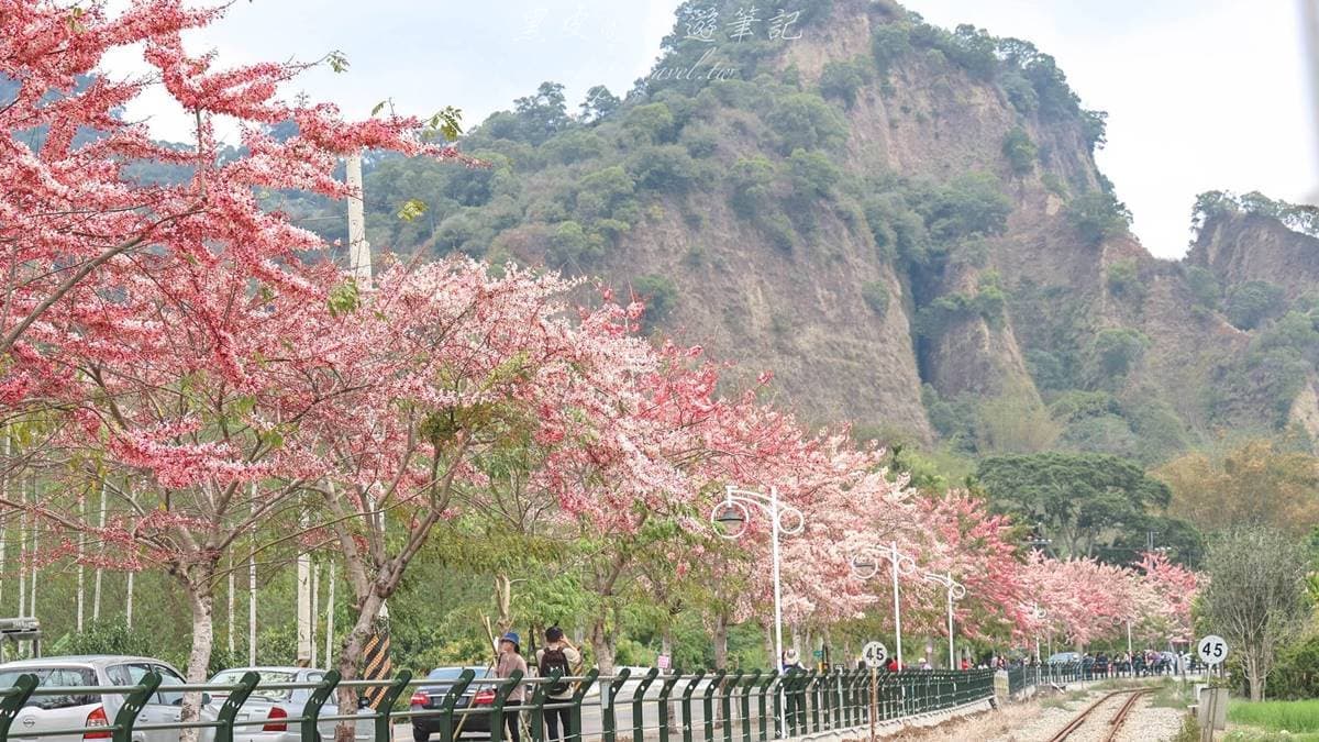 最方便的是這裡馬路旁都可以停車。（圖片來源：黑皮的旅遊筆記）