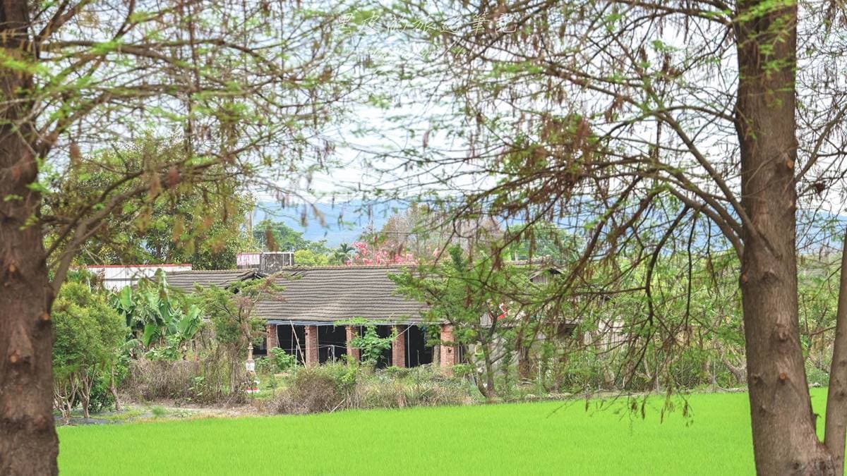 來到二水源泉派出所除了花旗木以外，沿途的田野風光也很迷人。（圖片來源：黑皮的旅遊筆記）