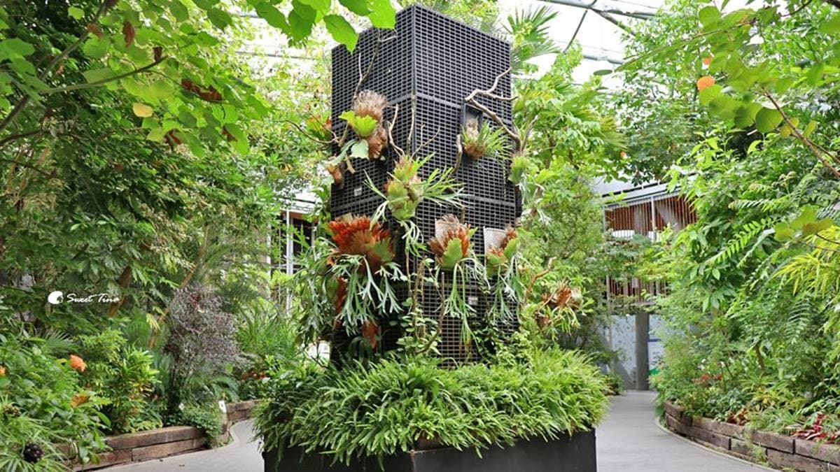 園區也有蘭花與蕨類展示，季節對了還可以看見百花爭妍。（圖片來源：Sweet Tina 樂在生活分享）