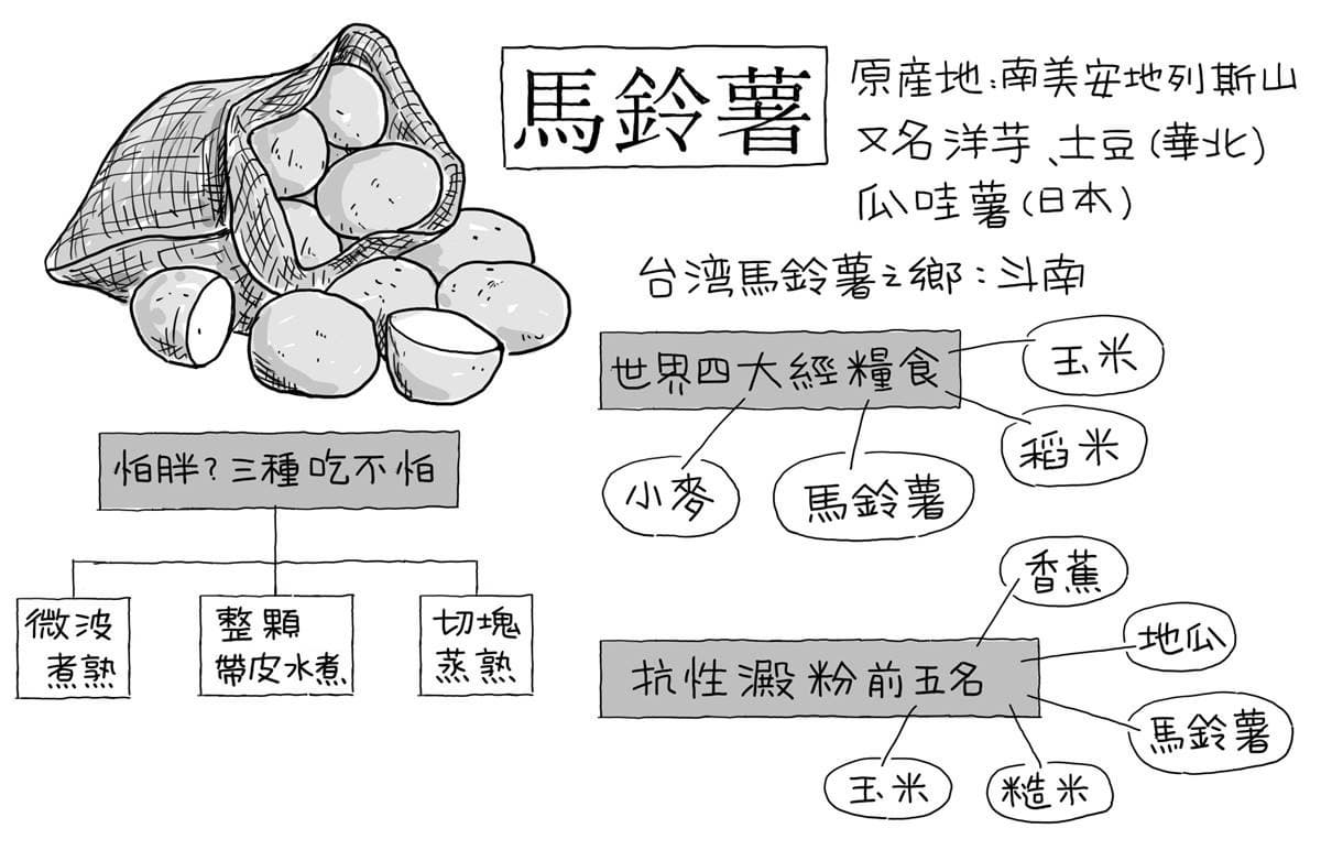 抗漲更是減肥神物！馬鈴薯本土、進口差在哪？達人教３種吃法「吃了不怕胖」