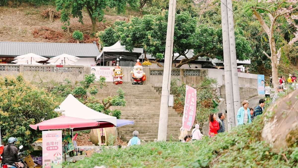 「阿拉伯的粉紅村」位於嘉義竹崎鄉，據說是在地最祕境的花旗木小村莊。（圖片來源：黑皮的旅遊筆記）