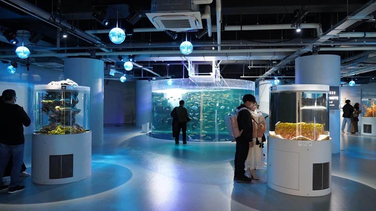 「átoa水族館」是１間將海中生物與藝術融合的水族館。（圖片來源：金大佛的奪門而出家網誌）