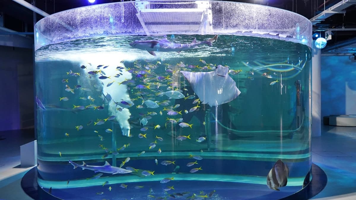 「生命のゆらぎ」讓人彷彿步入海底，跟著海中生物盡情探索海洋世界。（圖片來源：金大佛的奪門而出家網誌）