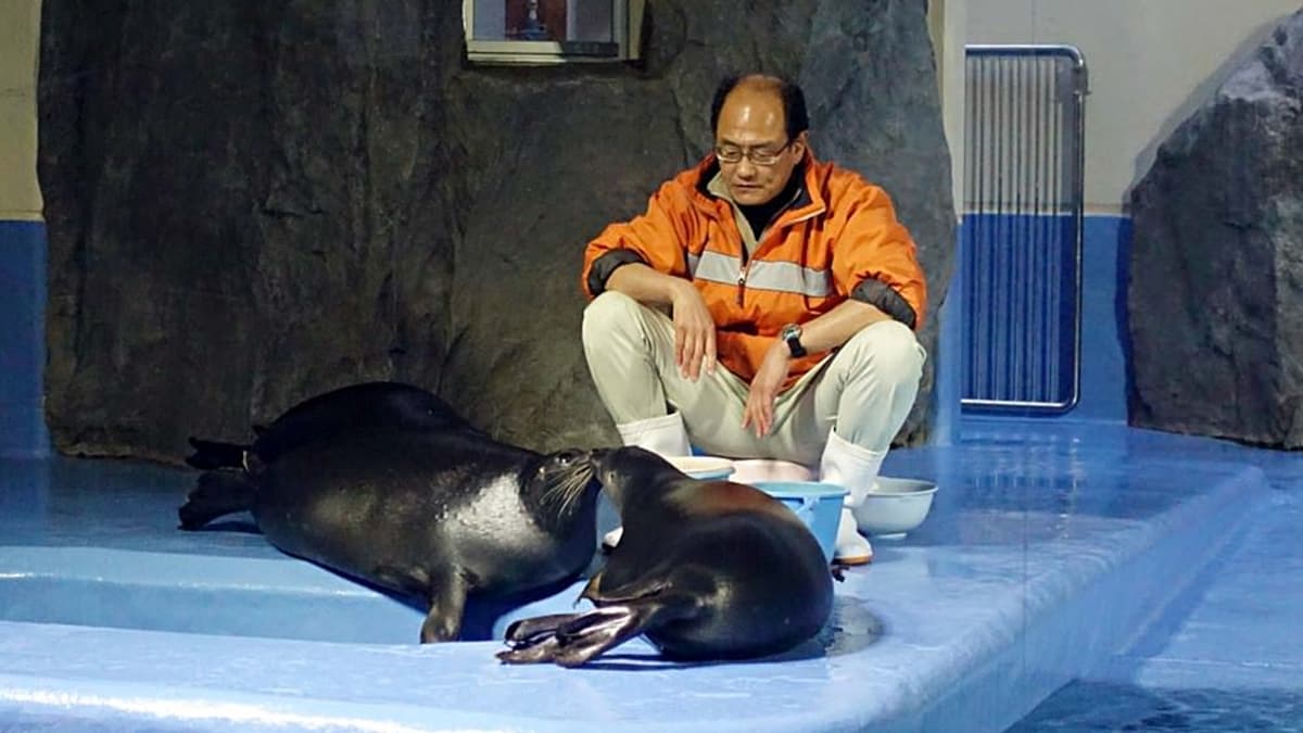 這裡的海洋生物總類很多，想參觀完要花上一些時間。（圖片來源：水晶安蹄 不務正業過生活）