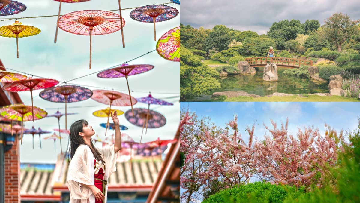 大甲媽信徒入園半價！「台版兼六園」國小女童免費逛，再賞滿開紫藤、花旗木