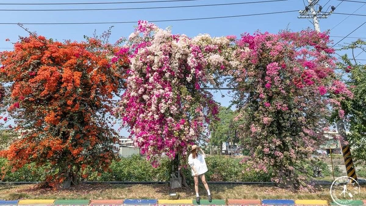 這裡全長約400公尺，從頭走到尾幾乎是毫無冷場。（圖片來源：桃桃's旅人手札）