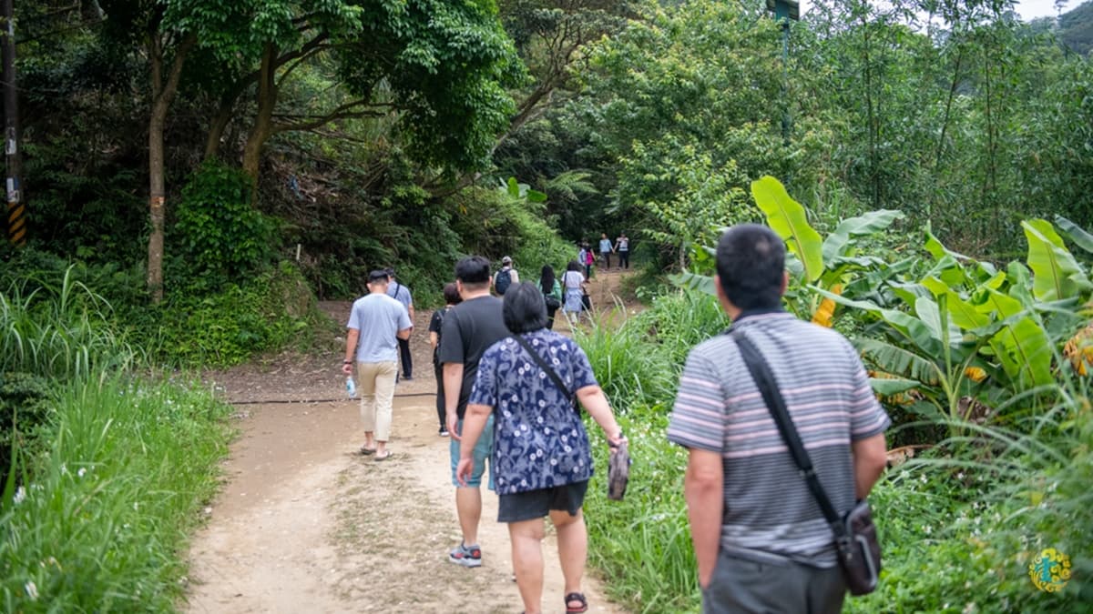 每到桐花季，賞花客總是絡繹不絕，前來觀賞螢火蟲的遊客也不在少數。（圖片來源：時空幻境 凌雲江海清）