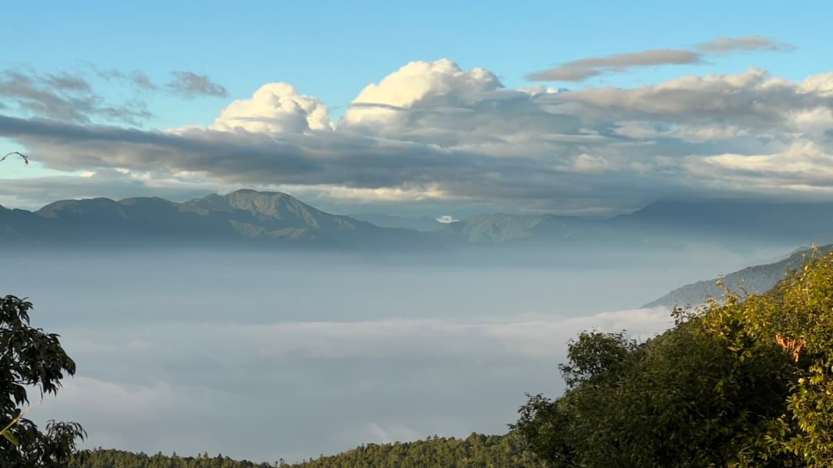 從園區的瞭望台可觀賞雲海美景。（圖片來源：高雄觀光局）