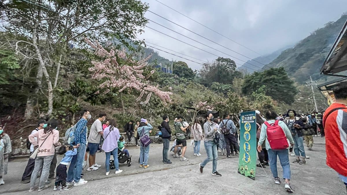 達卡努瓦賞螢步道聚集了許多慕名前來賞螢的遊客。（圖片來源：跟著尼力吃喝玩樂）