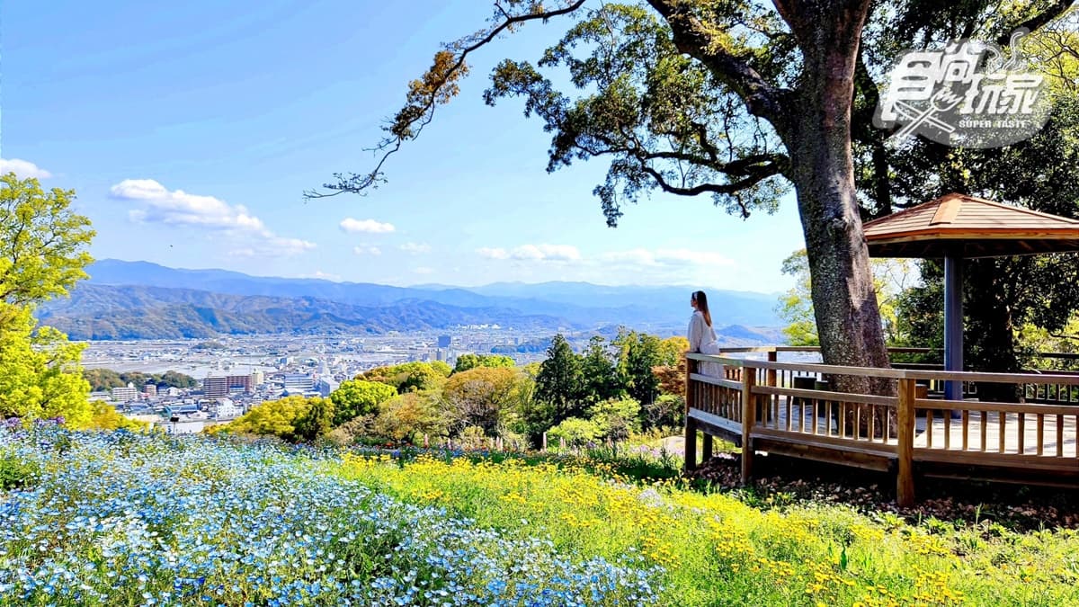 隨便拍都夢幻！超美植物園顏值爆表，必拍「巨型太空艙溫室」