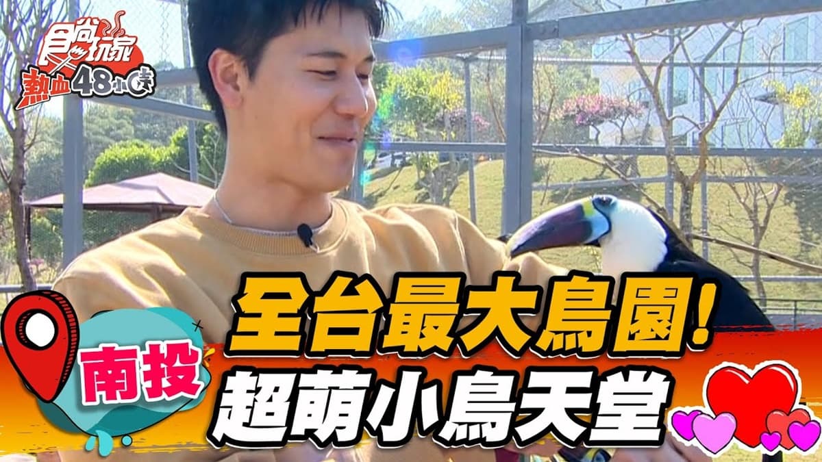 開箱全台最大鳥園！70種超萌鳥類１次看，零距離餵食體驗療癒爆棚